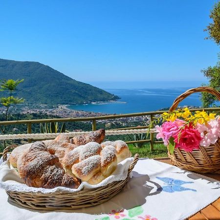 Drius Edode - B&B Affittacamere Torraca Dış mekan fotoğraf