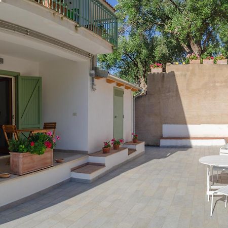 Drius Edode - B&B Affittacamere Torraca Dış mekan fotoğraf