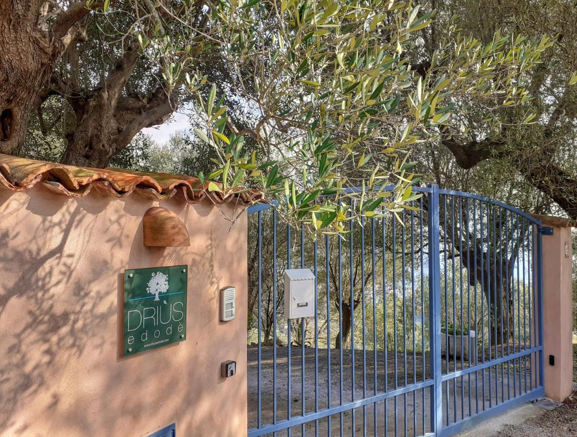 Drius Edode - B&B Affittacamere Torraca Dış mekan fotoğraf