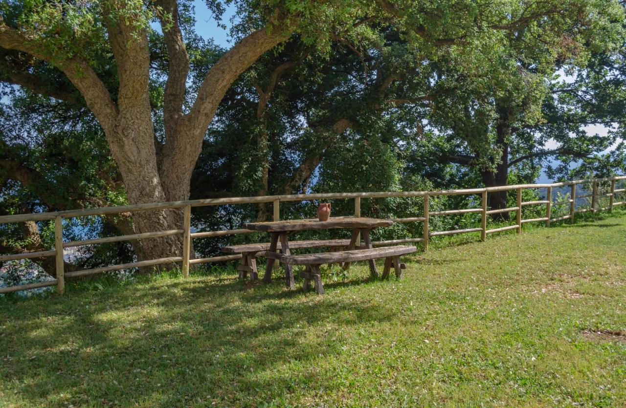 Drius Edode - B&B Affittacamere Torraca Dış mekan fotoğraf