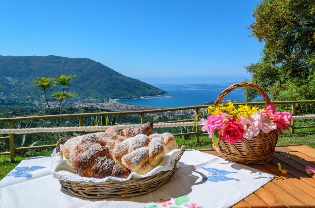 Drius Edode - B&B Affittacamere Torraca Dış mekan fotoğraf
