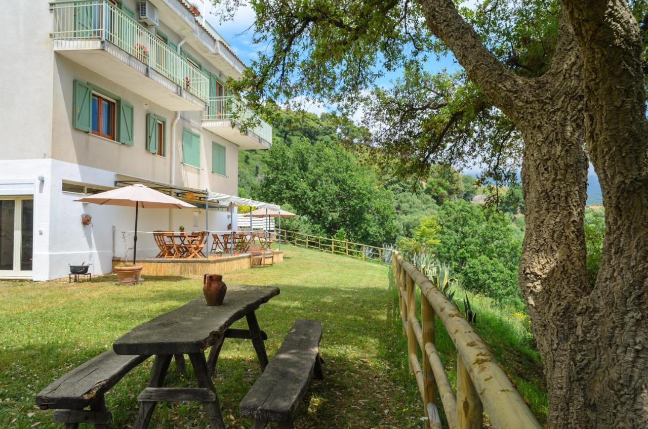 Drius Edode - B&B Affittacamere Torraca Dış mekan fotoğraf