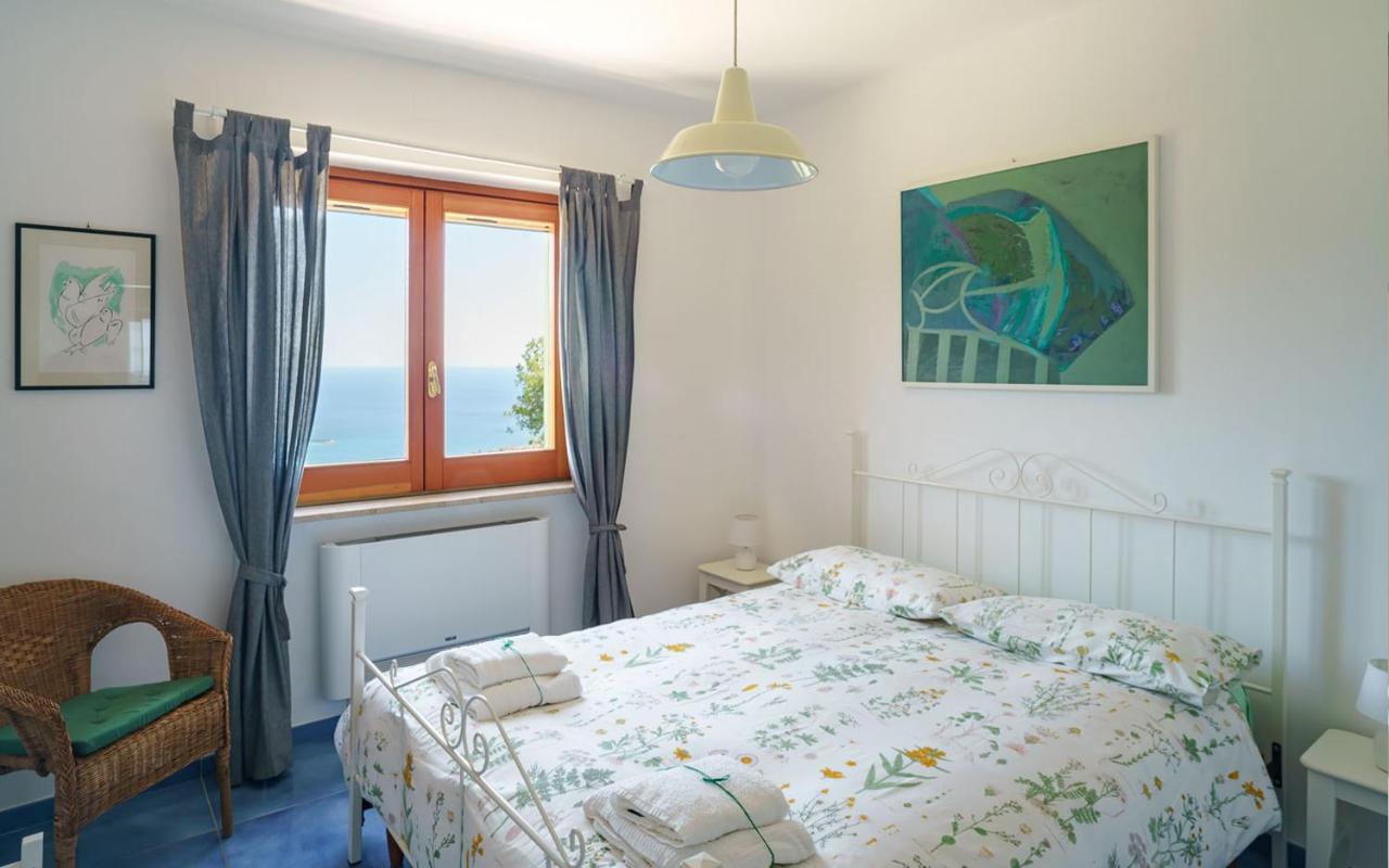 Drius Edode - B&B Affittacamere Torraca Dış mekan fotoğraf