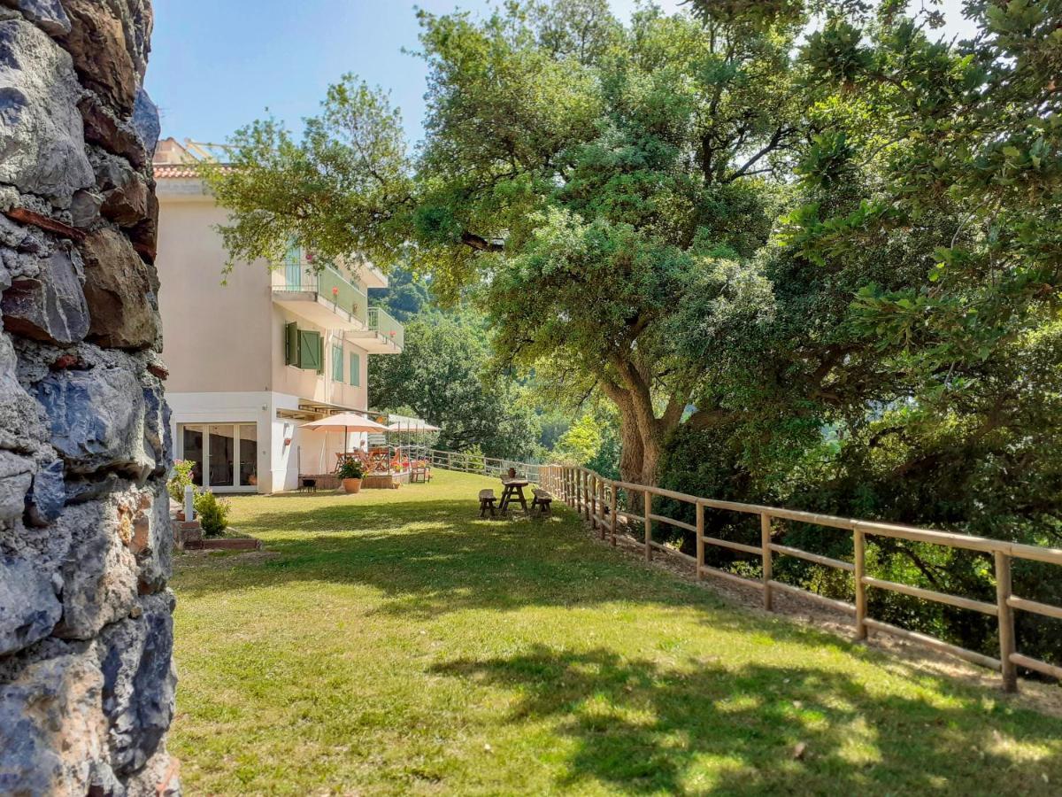 Drius Edode - B&B Affittacamere Torraca Dış mekan fotoğraf