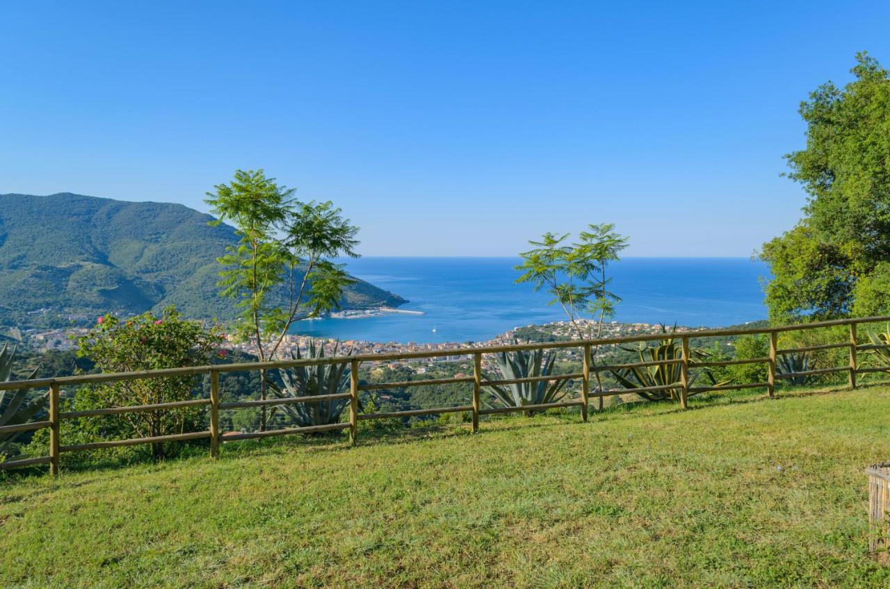 Drius Edode - B&B Affittacamere Torraca Dış mekan fotoğraf