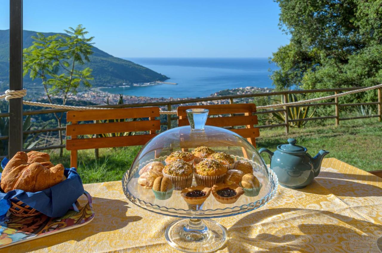Drius Edode - B&B Affittacamere Torraca Dış mekan fotoğraf