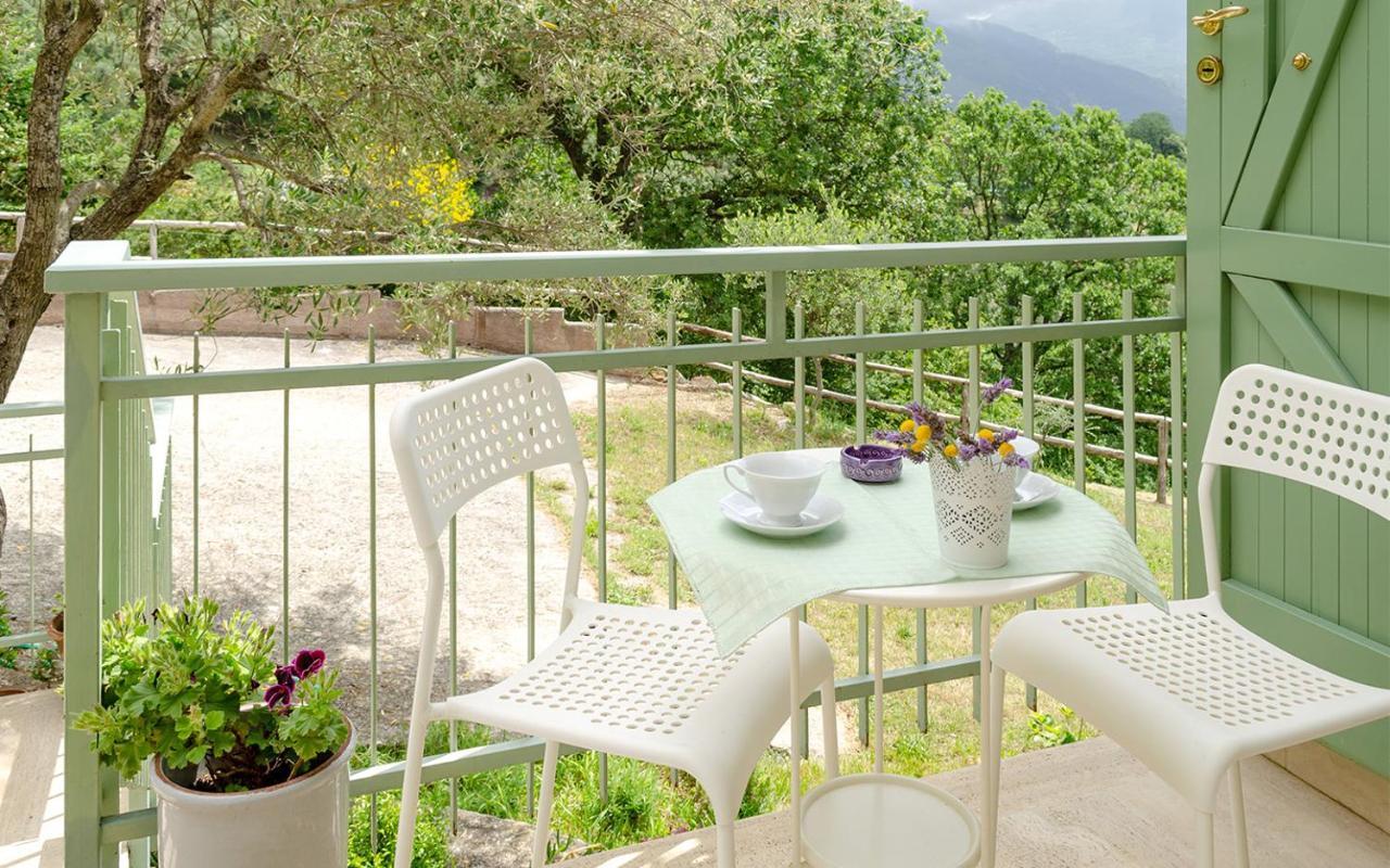 Drius Edode - B&B Affittacamere Torraca Dış mekan fotoğraf