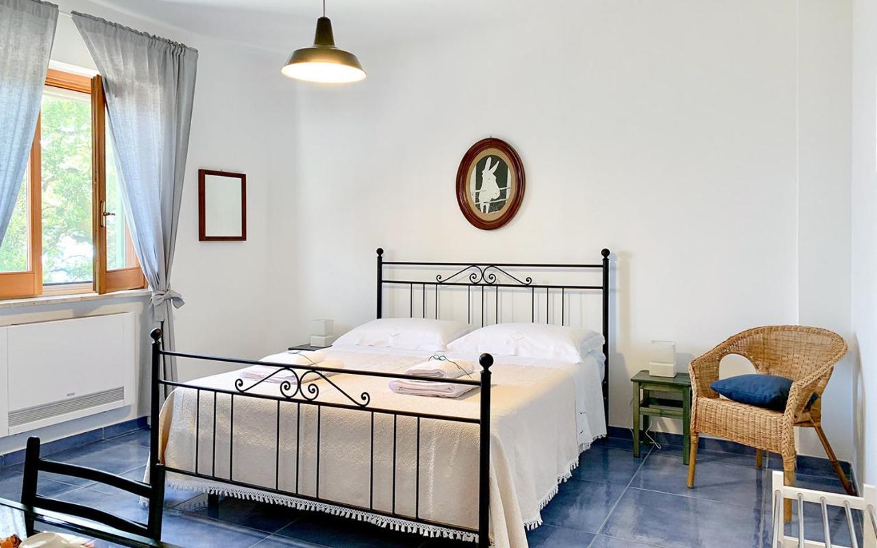 Drius Edode - B&B Affittacamere Torraca Dış mekan fotoğraf