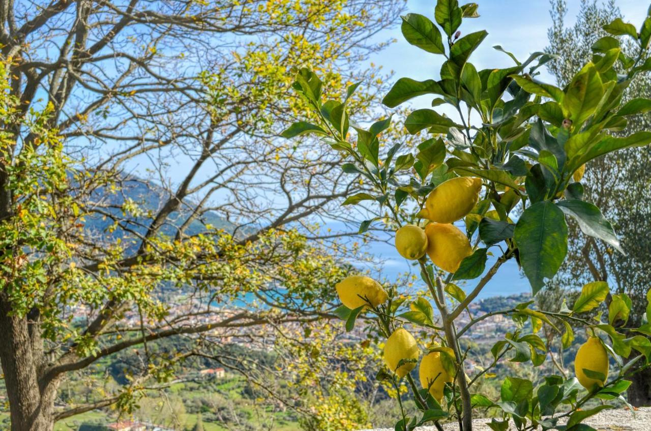 Drius Edode - B&B Affittacamere Torraca Dış mekan fotoğraf